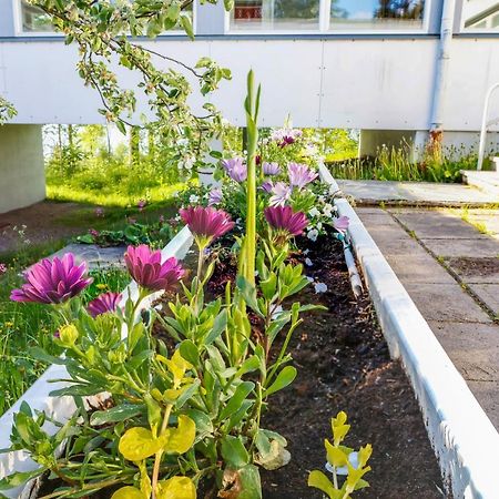 Vinsanvilla Bed And Breakfast Ruovesi 외부 사진