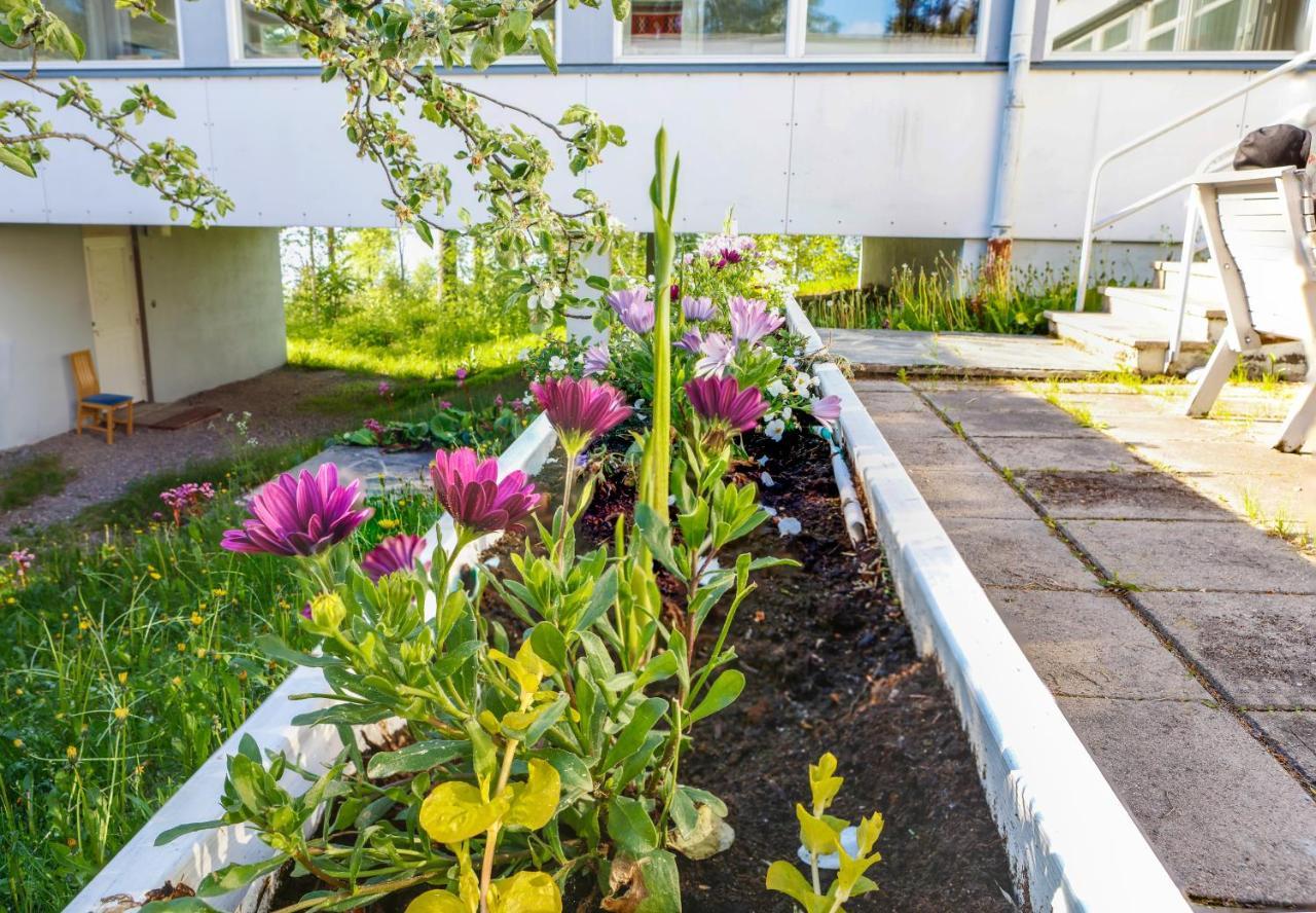 Vinsanvilla Bed And Breakfast Ruovesi 외부 사진